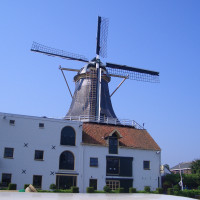 20080522104704 20080522104704