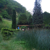 20090612205433 20090612205433