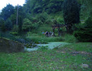 20090612205614 20090612205614