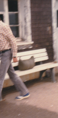 1980 20240901