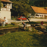 1986 20241006
