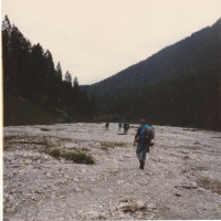 1987 20241006