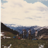1987 20241006