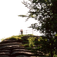 fichtscannen0017 fichtscannen0017