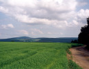 fichtscannen0028