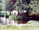 fichtscannen0032