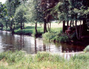 fichtscannen0033