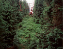 fichtscannen0034
