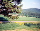 fichtscannen0037