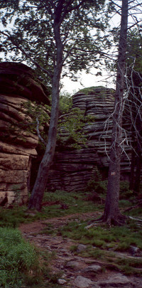 fichtscannen0061