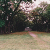 scan 20240702
