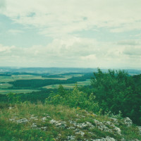 wb0601 20240919