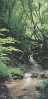 2001 20240919