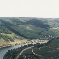 2001 20240919