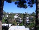 20050202195601