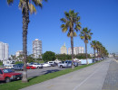 20050202231523