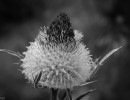 20050907142701