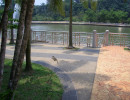 20061012061232