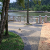 20061012061232 20061012061232