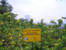 20061012062235