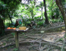 20061012063206
