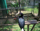 20061012063427