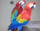20061012064345