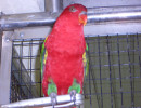 20061012064444