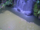 20061012065430