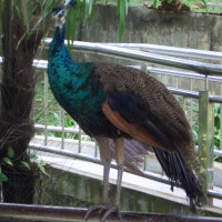 20061012065656 20061012065656