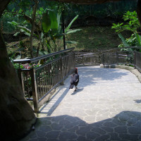 20061012070029 20061012070029