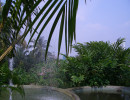 20061012075009