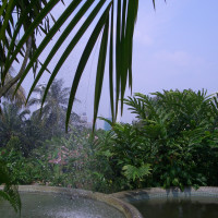 20061012075009 20061012075009