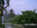 20061012075023