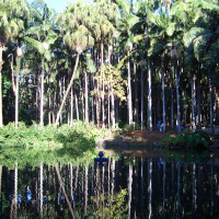 20060704193213 20060704193213