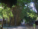 20060704194842