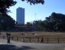 20060704195320