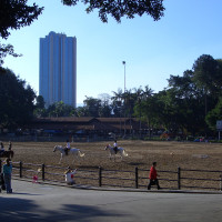 20060704195320 20060704195320