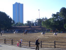 20060704195447