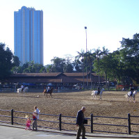 20060704195447 20060704195447