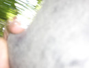 20070607143109
