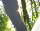 20070607143126