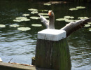 142wetter