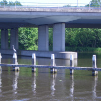 20080523130841
