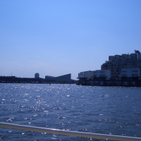 20080523154606