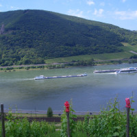 20090614114503
