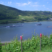 20090614114526 20090614114526
