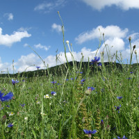 20110624151658