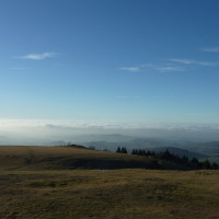 20111125155329
