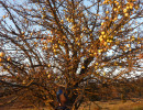 20111125171039